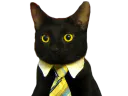 :chat_cravate: