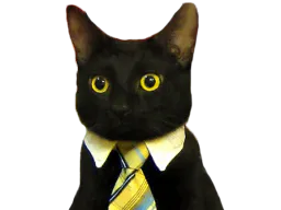 :chat_cravate: