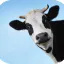 Photo de profil de Eussoudore01