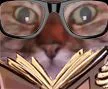 :Chat_zoom_lunettes: