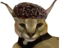 :igoent2000: