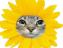 :CS_fleur: