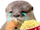 :loutre_snif_popcorn: