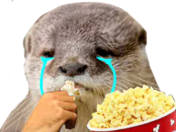 :loutre_snif_popcorn: