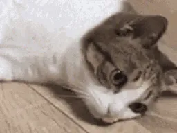 :chattombe2: