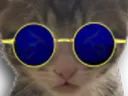 :chaton_redpill_zoom: