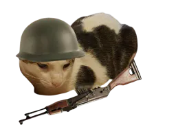 :sergentchong: