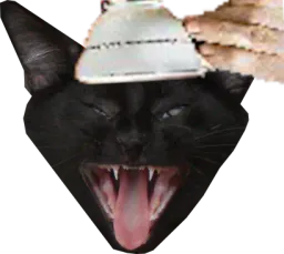 :chatcafe: