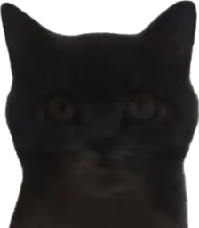 :cat_ua: