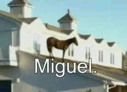 :Miguel: