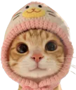 :chat_bonnet1: