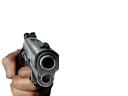 :flingue3: