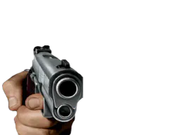 :flingue3: