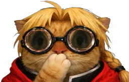 :Edward_chat_lunette_oups: