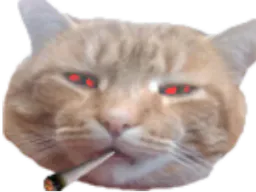 :matou_fume: