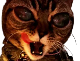 :aliencat: