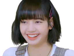:lisa_rigole: