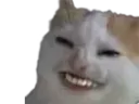 :chahi: