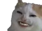 :chahi: