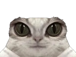 :Chat-Cru9: