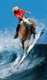 :cheval_surf: