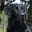 Photo de profil de Labrador