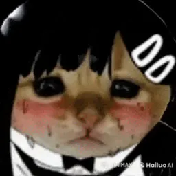 :ChatKobeFume: