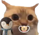 :chat_limite_bebe: