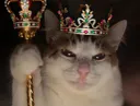 :chat_roi_deter: