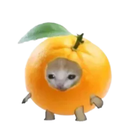 :Chat_orange:
