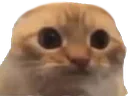 :Chamite: