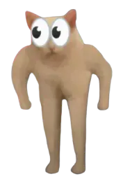 :WTFhuman_cat: