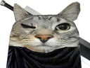 :CS_Berserk:
