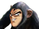:vegeta_singe: