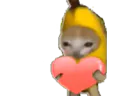 :chatfruitlove: