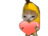 :chatfruitlove: