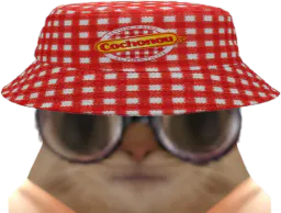 :ChaCochonou: