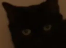 :CatSansQuatre:
