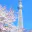Photo de profil de Tokyo