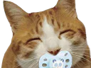 :chat_hap_tetine: