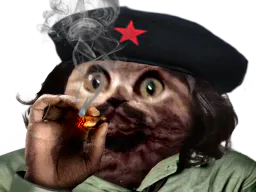 :cha_guevara: