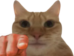 :chatdoigt: