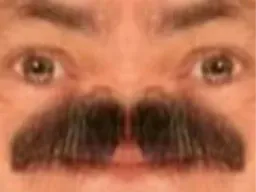 :moustache_: