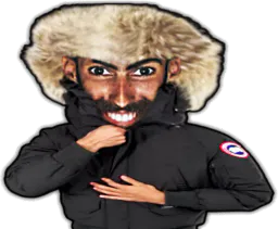 :canadagoosefou: