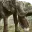 Photo de profil de Xiaorong