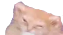 :Sticoeur: