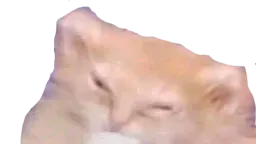 :Sticoeur: