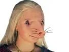 :rat_femelle: