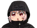 :Mokou_capuche:
