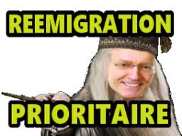 :reemigration: